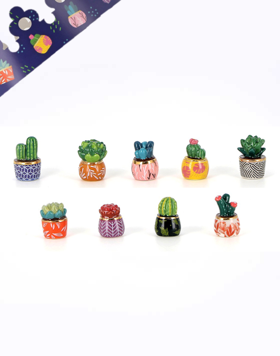 Fèves Succulentes