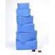 Ballotin bleu Mimy