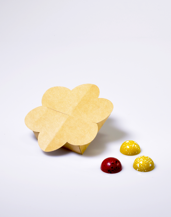 Boîte en fleur kraft